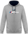 Pull Survet BMW M POWER Hoodie